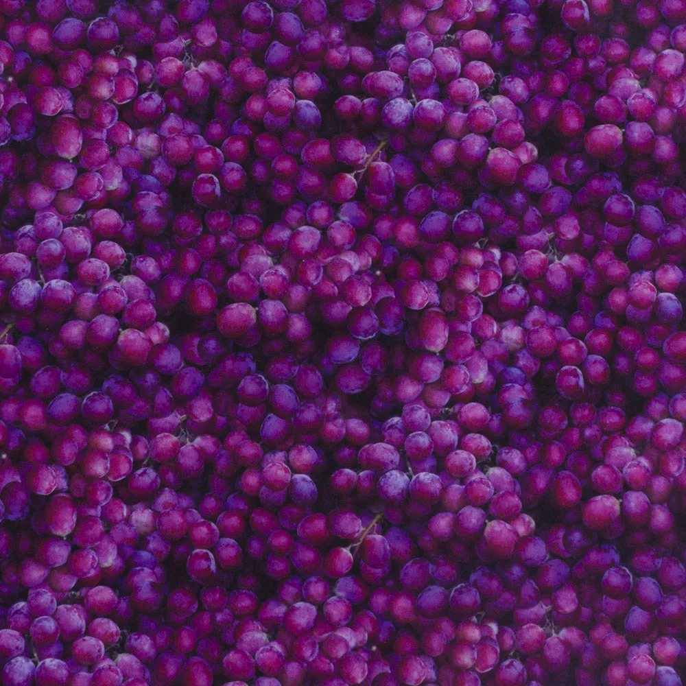 Stay dry digital printed PUL - Grape - Purple